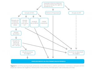REALLAGEN™ Booster Biomimético de Colágeno III 1